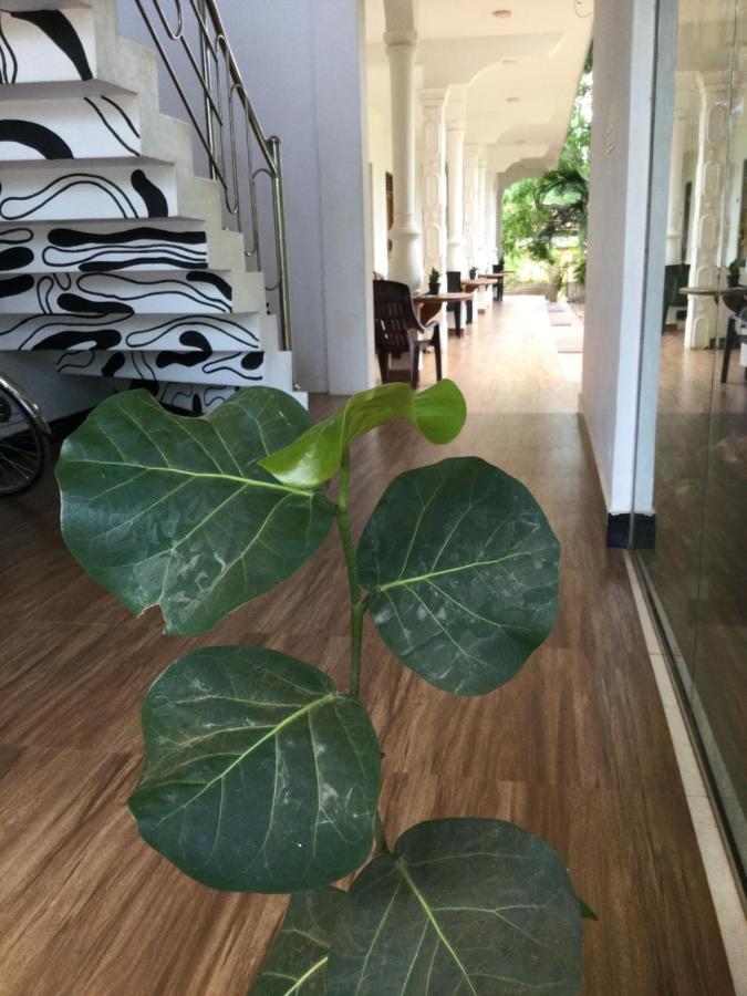 French Garden Resort أوبوفيلي المظهر الخارجي الصورة